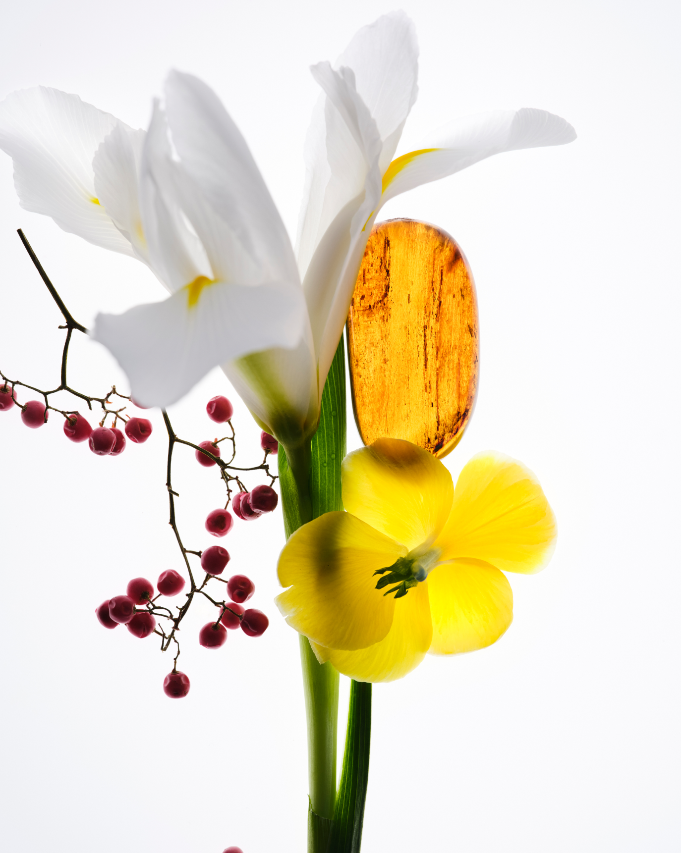 Crème, Brow + Balm Set